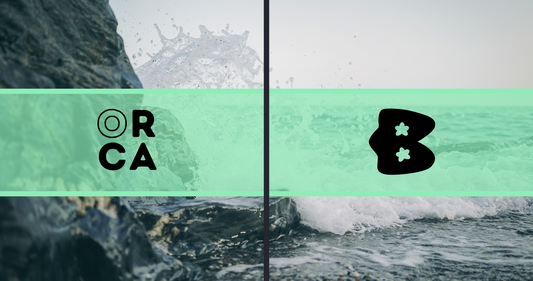 Behind the Designs: Meet Bianca, the Artist Bringing ORCA.Supply's Rashguards to Life